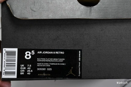 8  Aqua Jordan (2015) 305381-025 Retro 0825